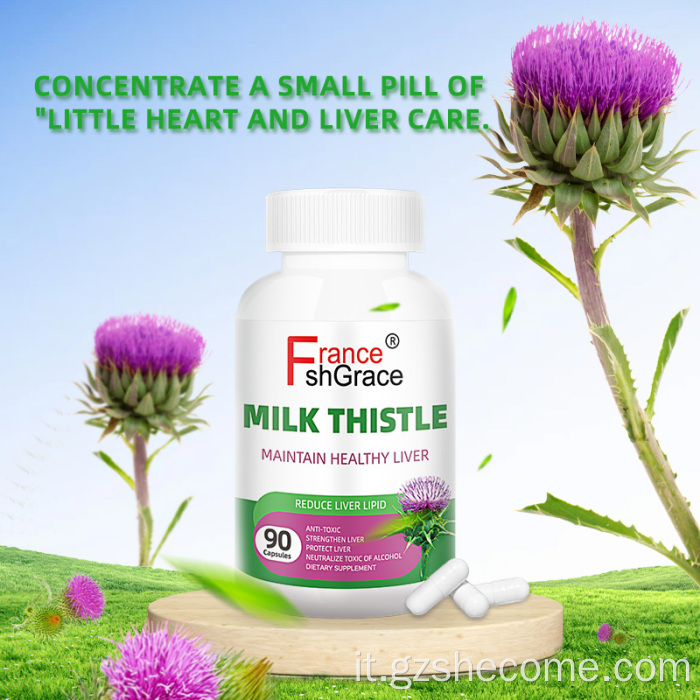 Funzione epatica del thytle di cardo a latte biologico